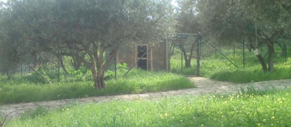 εικόνα ακινήτου