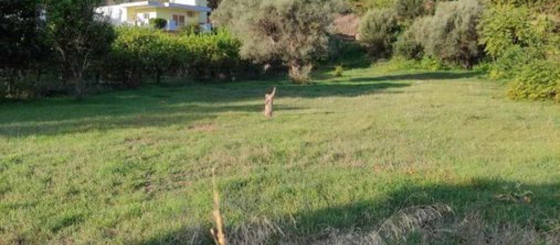 εικόνα ακινήτου
