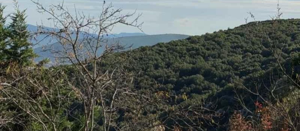 εικόνα ακινήτου