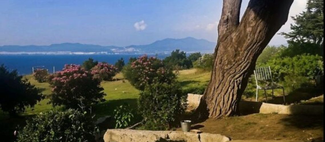 εικόνα ακινήτου