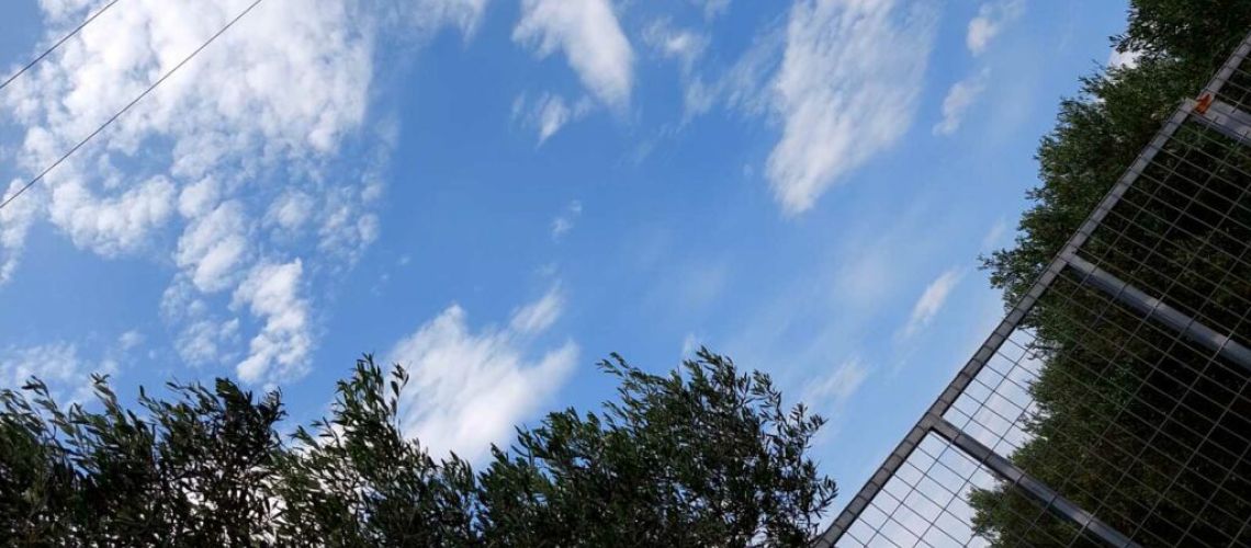 εικόνα ακινήτου