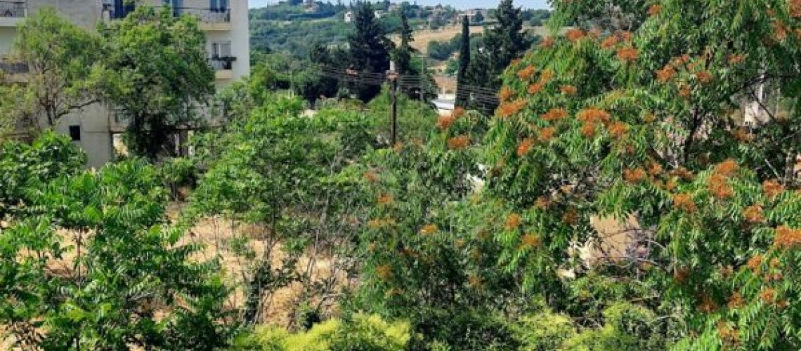 εικόνα ακινήτου