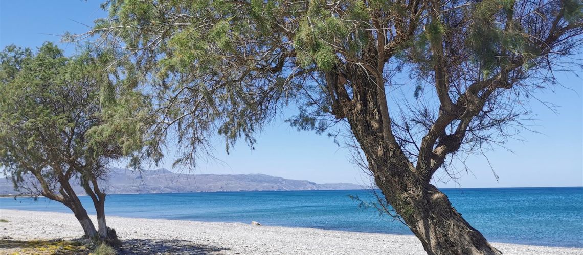 εικόνα ακινήτου