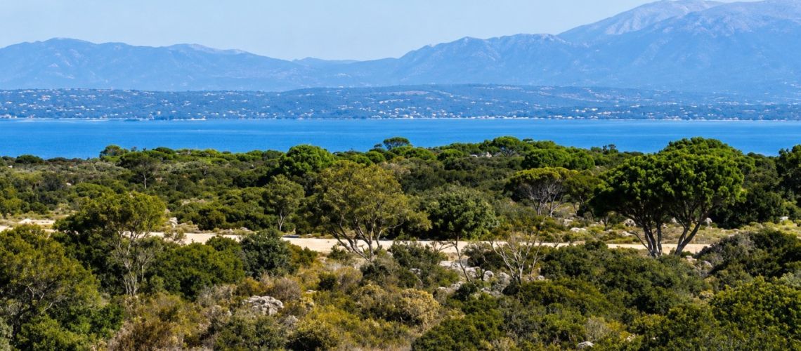 εικόνα ακινήτου
