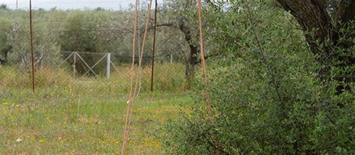 εικόνα ακινήτου