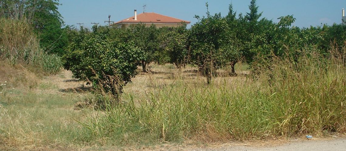 εικόνα ακινήτου