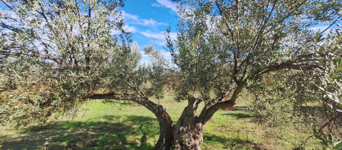 εικόνα ακινήτου