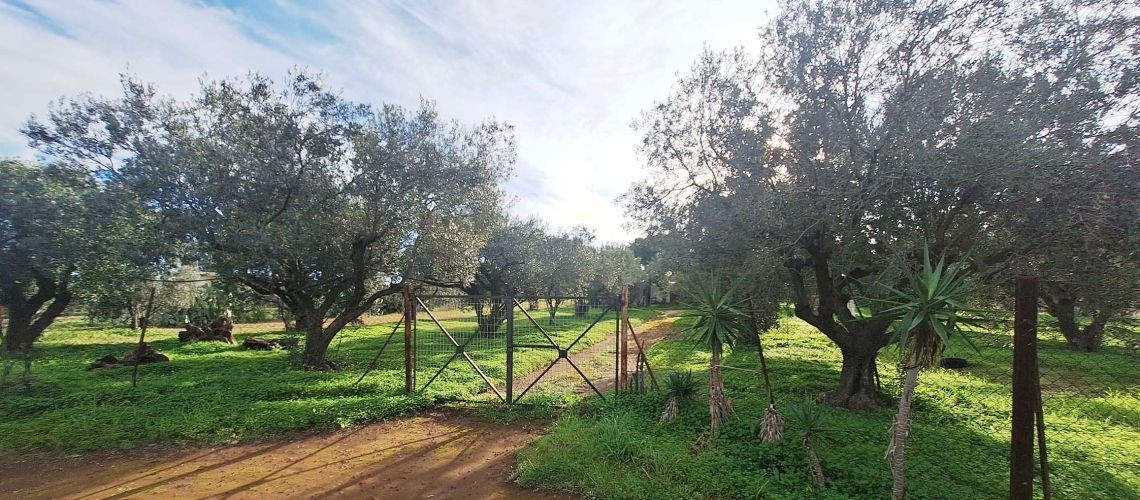 εικόνα ακινήτου