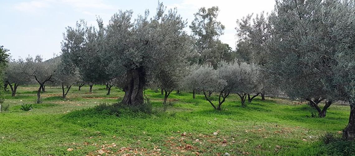 εικόνα ακινήτου