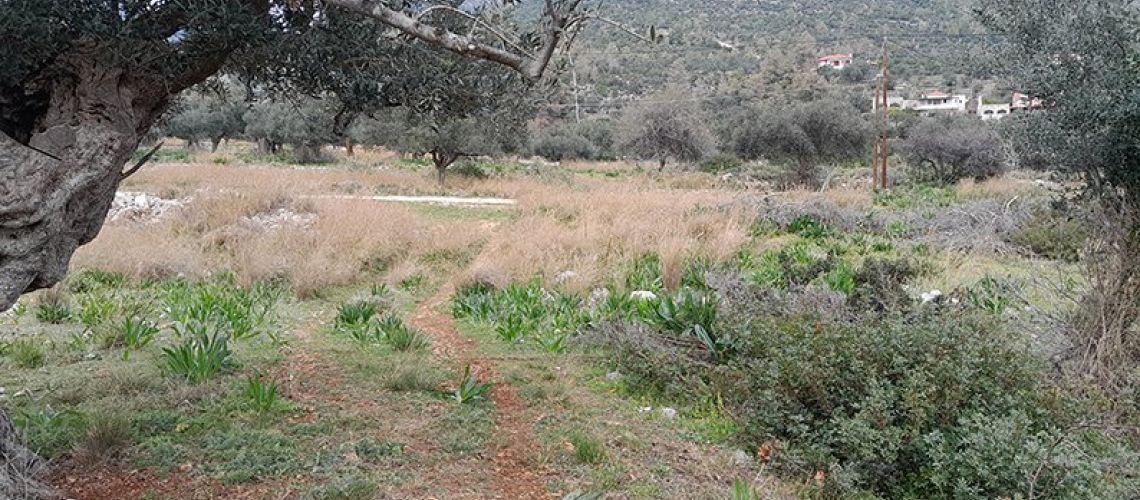 εικόνα ακινήτου