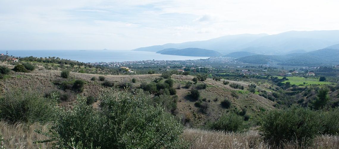εικόνα ακινήτου