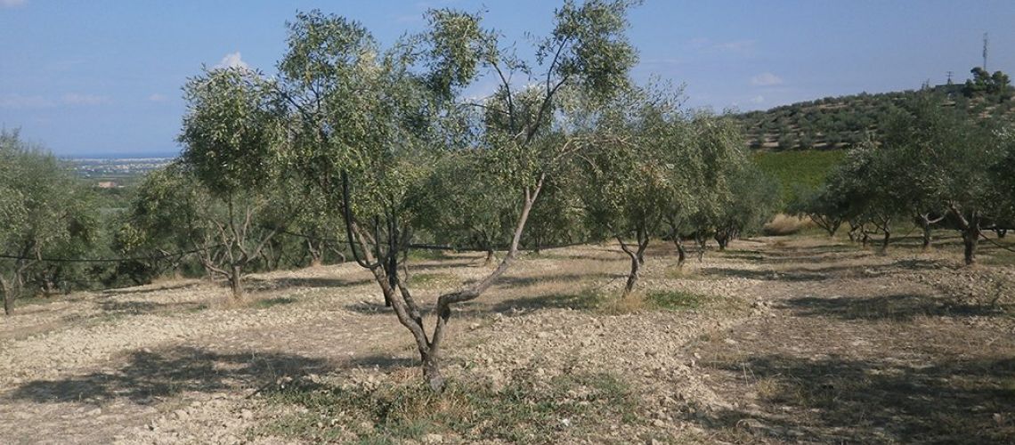 εικόνα ακινήτου