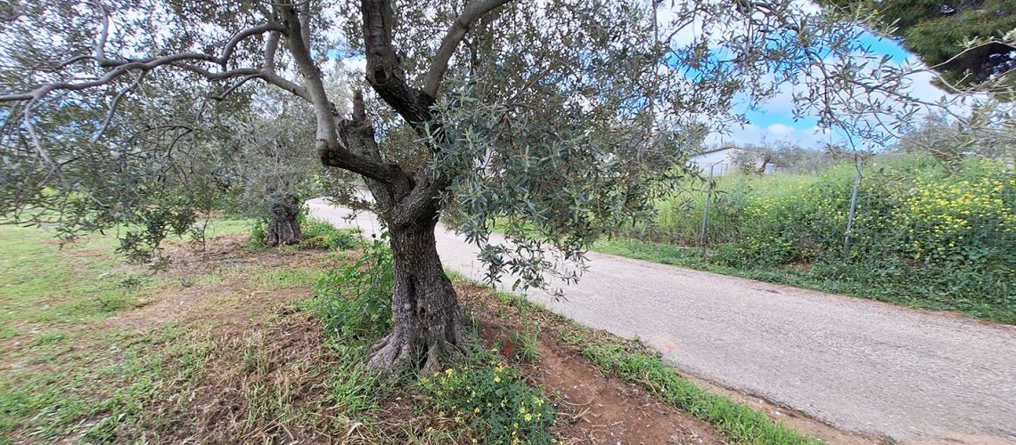 εικόνα ακινήτου
