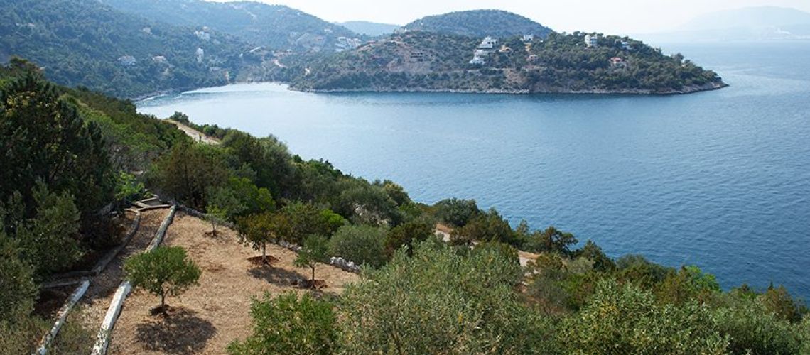 εικόνα ακινήτου