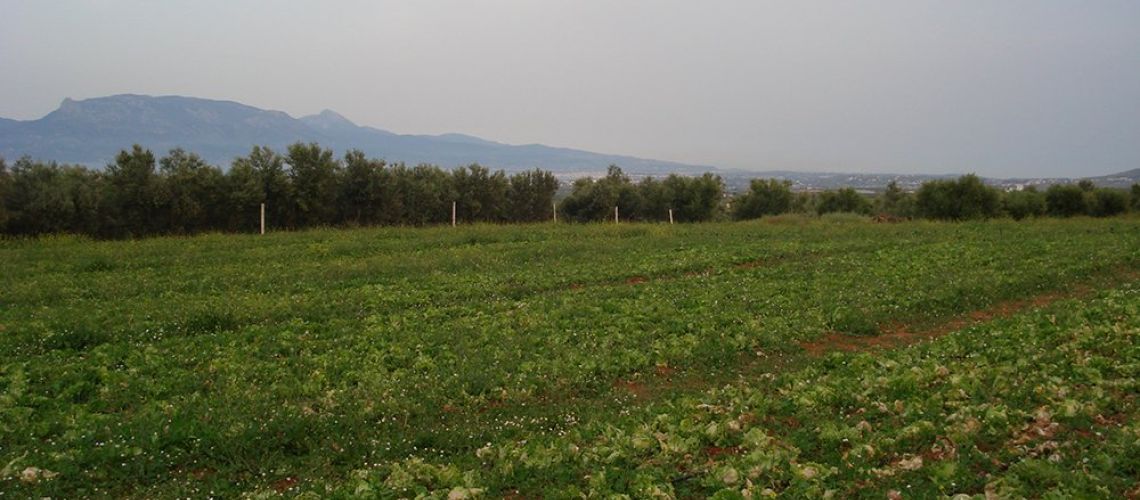 εικόνα ακινήτου