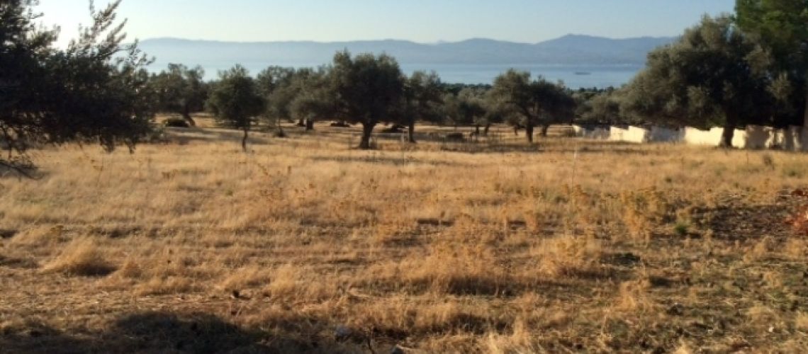 εικόνα ακινήτου