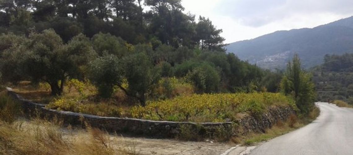 εικόνα ακινήτου