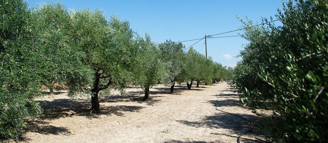 εικόνα ακινήτου