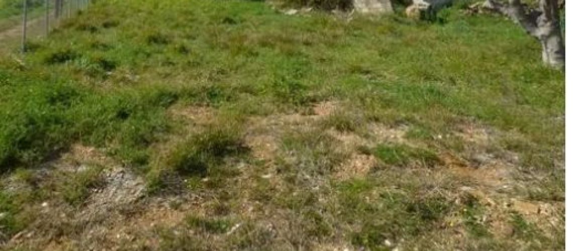 εικόνα ακινήτου
