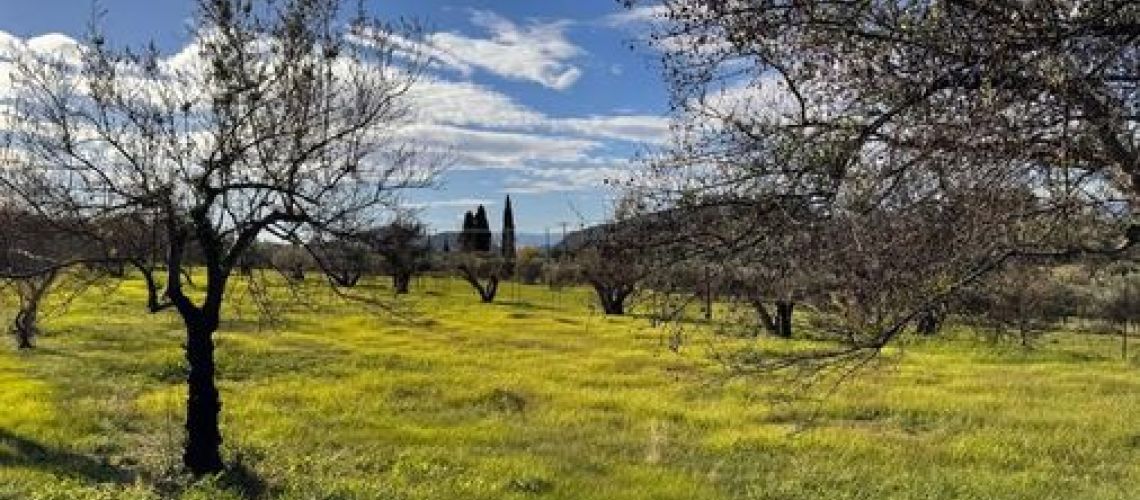 εικόνα ακινήτου