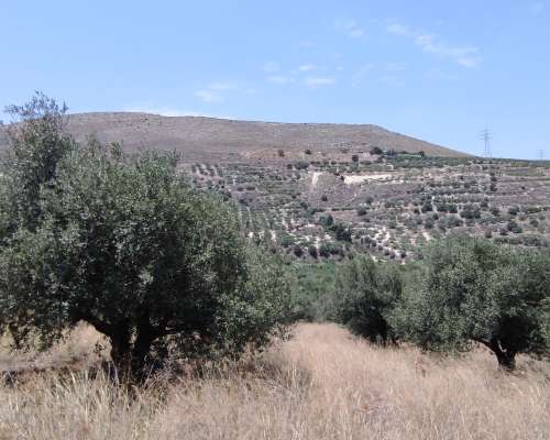 εικόνα ακινήτου