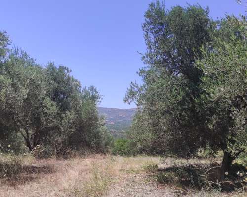 εικόνα ακινήτου