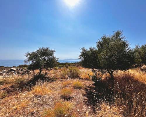 εικόνα ακινήτου