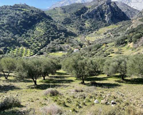 εικόνα ακινήτου
