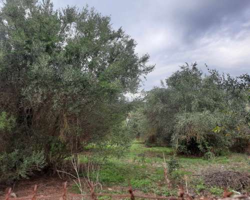 εικόνα ακινήτου