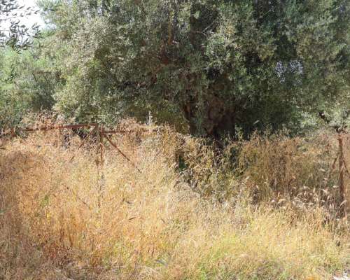 εικόνα ακινήτου