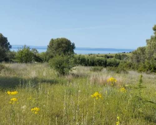 εικόνα ακινήτου