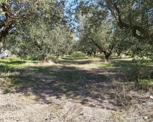 εικόνα ακινήτου