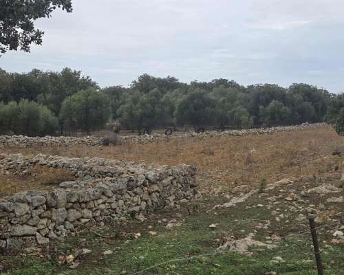 εικόνα ακινήτου