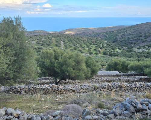 εικόνα ακινήτου