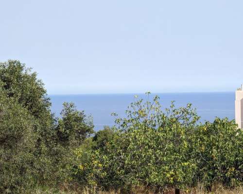 εικόνα ακινήτου