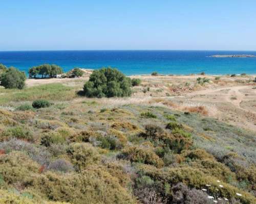 εικόνα ακινήτου