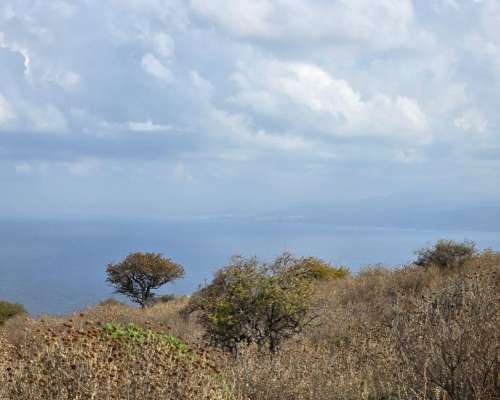 εικόνα ακινήτου