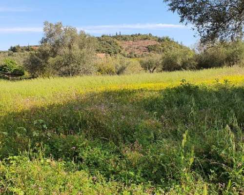 εικόνα ακινήτου