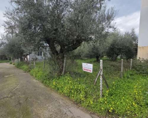 εικόνα ακινήτου
