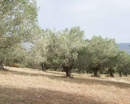 εικόνα ακινήτου