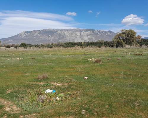 εικόνα ακινήτου